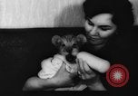 Standbild deutscher Zoo Deutschland, 1962, aus Sekunde 56 historischem Filmmaterial Videoclip 65675044377