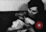 Standbild deutscher Zoo Deutschland, 1962, aus Sekunde 58 historischem Filmmaterial Videoclip 65675044377