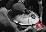 Standbild spezielle Tauchausrüstung Genua Italien, 1930, aus Sekunde 33 historischem Filmmaterial Videoclip 65675044381