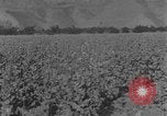 Standbild allgemeine Ma Hsiang Fu Sui Yuan China, 1930, aus Sekunde 54 historischem Filmmaterial Videoclip 65675044384