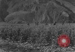 Standbild allgemeine Ma Hsiang Fu Sui Yuan China, 1930, aus Sekunde 56 historischem Filmmaterial Videoclip 65675044384