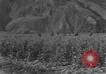 Standbild allgemeine Ma Hsiang Fu Sui Yuan China, 1930, aus Sekunde 57 historischem Filmmaterial Videoclip 65675044384