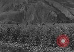 Standbild allgemeine Ma Hsiang Fu Sui Yuan China, 1930, aus Sekunde 58 historischem Filmmaterial Videoclip 65675044384