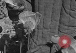 Standbild allgemeine Ma Hsiang Fu Sui Yuan China, 1930, aus Sekunde 59 historischem Filmmaterial Videoclip 65675044384
