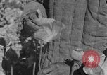 Standbild allgemeine Ma Hsiang Fu Sui Yuan China, 1930, aus Sekunde 60 historischem Filmmaterial Videoclip 65675044384