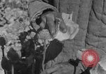 Standbild allgemeine Ma Hsiang Fu Sui Yuan China, 1930, aus Sekunde 61 historischem Filmmaterial Videoclip 65675044384