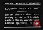 Standbild Schimpansen Oscar Essen am Tisch Luzern Schweiz, 1930, aus Sekunde 1 historischem Filmmaterial Videoclip 65675044386