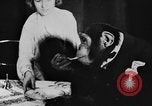 Standbild Schimpansen Oscar Essen am Tisch Luzern Schweiz, 1930, aus Sekunde 3 historischem Filmmaterial Videoclip 65675044386