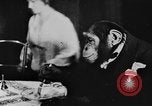 Standbild Schimpansen Oscar Essen am Tisch Luzern Schweiz, 1930, aus Sekunde 4 historischem Filmmaterial Videoclip 65675044386