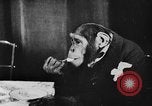 Standbild Schimpansen Oscar Essen am Tisch Luzern Schweiz, 1930, aus Sekunde 7 historischem Filmmaterial Videoclip 65675044386