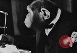 Standbild Schimpansen Oscar Essen am Tisch Luzern Schweiz, 1930, aus Sekunde 8 historischem Filmmaterial Videoclip 65675044386