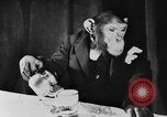 Standbild Schimpansen Oscar Essen am Tisch Luzern Schweiz, 1930, aus Sekunde 21 historischem Filmmaterial Videoclip 65675044386