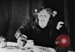 Standbild Schimpansen Oscar Essen am Tisch Luzern Schweiz, 1930, aus Sekunde 27 historischem Filmmaterial Videoclip 65675044386