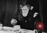 Standbild Schimpansen Oscar Essen am Tisch Luzern Schweiz, 1930, aus Sekunde 33 historischem Filmmaterial Videoclip 65675044386