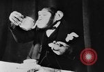Standbild Schimpansen Oscar Essen am Tisch Luzern Schweiz, 1930, aus Sekunde 55 historischem Filmmaterial Videoclip 65675044386