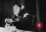 Standbild Schimpansen Oscar Essen am Tisch Luzern Schweiz, 1930, aus Sekunde 59 historischem Filmmaterial Videoclip 65675044386