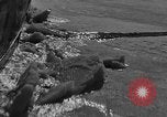 Immagine di United States Coast Guard nave Rockland Maine USA, 1931, secondo 22 filmato di repertorio 65675044391