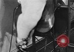 Standbild fat Frauen Philadelphia Pennsylvania USA, 1931, aus Sekunde 56 historischem Filmmaterial Videoclip 65675044394