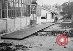 Standbild American Expeditionary Force Frankreich, 1918, aus Sekunde 22 historischem Filmmaterial Videoclip 65675044398