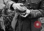 Image of American Expeditionary Force France, 1918, second 24 stock footage video 65675044401