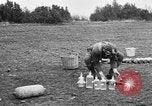 Immagine di American forza expeditionary Francia, 1918, secondo 48 filmato di repertorio 65675044403