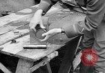 Standbild American Expeditionary Force Frankreich, 1918, aus Sekunde 29 historischem Filmmaterial Videoclip 65675044407