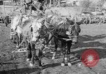 Image of American Expeditionary Force France, 1918, second 1 stock footage video 65675044411