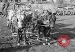 Image of American Expeditionary Force France, 1918, second 3 stock footage video 65675044411