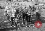 Image of American Expeditionary Force France, 1918, second 4 stock footage video 65675044411