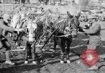 Image of American Expeditionary Force France, 1918, second 5 stock footage video 65675044411