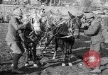 Image of American Expeditionary Force France, 1918, second 6 stock footage video 65675044411