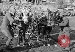 Image of American Expeditionary Force France, 1918, second 7 stock footage video 65675044411