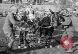 Image of American Expeditionary Force France, 1918, second 8 stock footage video 65675044411