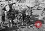 Image of American Expeditionary Force France, 1918, second 12 stock footage video 65675044411
