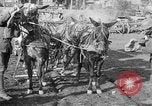 Image of American Expeditionary Force France, 1918, second 13 stock footage video 65675044411