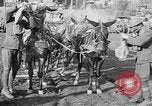 Image of American Expeditionary Force France, 1918, second 15 stock footage video 65675044411