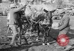 Image of American Expeditionary Force France, 1918, second 16 stock footage video 65675044411