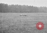 Image of 318th Infantry Regiment Chaumont France, 1918, second 29 stock footage video 65675044414