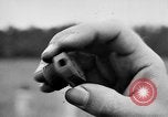Image of 318th Infantry Regiment Chaumont France, 1918, second 32 stock footage video 65675044416