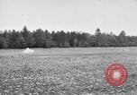Image of 318th Infantry Regiment Chaumont France, 1918, second 46 stock footage video 65675044416