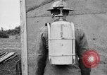 Image of 318th Infantry Regiment France, 1918, second 9 stock footage video 65675044417