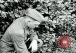 Image of 318th Infantry Regiment France, 1918, second 1 stock footage video 65675044423