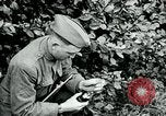 Image of 318th Infantry Regiment France, 1918, second 3 stock footage video 65675044423