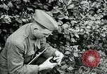 Image of 318th Infantry Regiment France, 1918, second 5 stock footage video 65675044423
