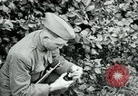 Image of 318th Infantry Regiment France, 1918, second 6 stock footage video 65675044423