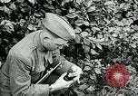 Image of 318th Infantry Regiment France, 1918, second 7 stock footage video 65675044423