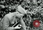 Image of 318th Infantry Regiment France, 1918, second 8 stock footage video 65675044423