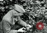Image of 318th Infantry Regiment France, 1918, second 9 stock footage video 65675044423