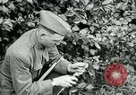 Image of 318th Infantry Regiment France, 1918, second 12 stock footage video 65675044423