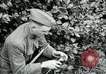 Image of 318th Infantry Regiment France, 1918, second 13 stock footage video 65675044423